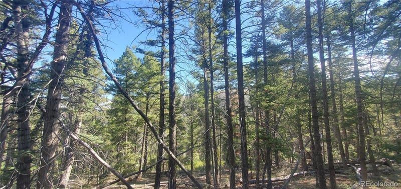 Lot 5273 Vivian Rd Lot 5273, Fort Garland, CO 81133