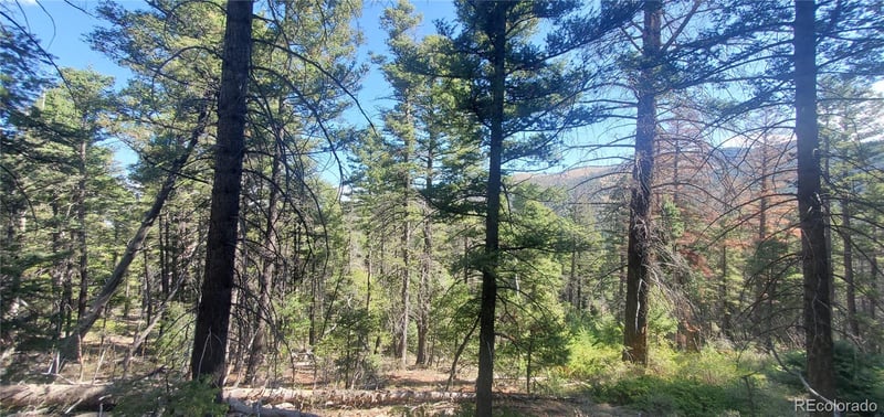 Lot 5273 Vivian Rd Lot 5273, Fort Garland, CO 81133