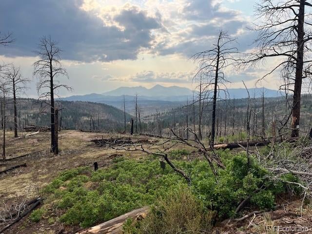 Lot 369-370 Powers Rd, Fort Garland, CO 81133