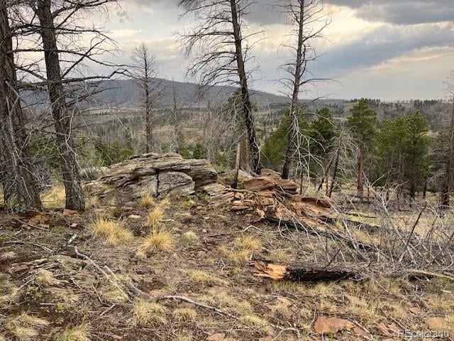 Lot 369-370 Powers Rd, Fort Garland, CO 81133
