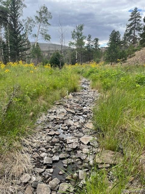Lot 369-370 Powers Rd, Fort Garland, CO 81133