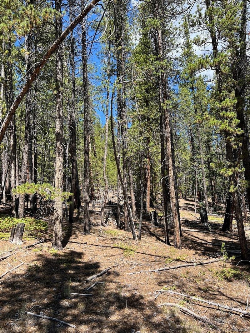 163 Co Rd 665 Lot 22, Fairplay, CO 80440