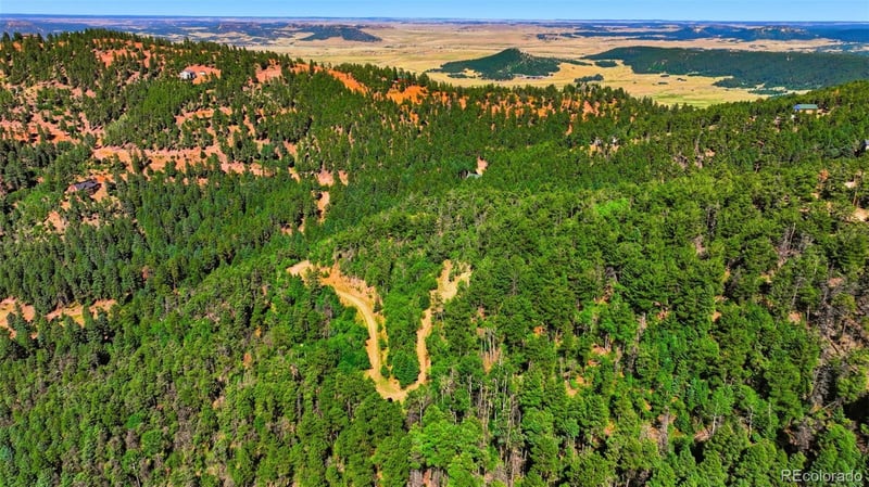13446 Firedog Way, Larkspur, CO 80118