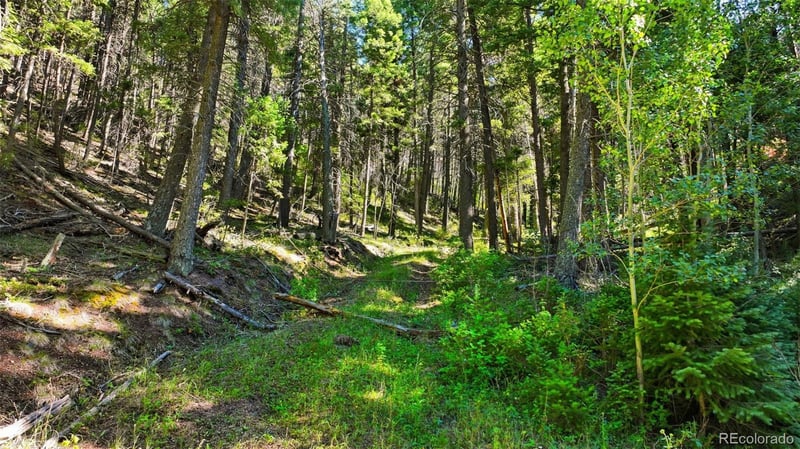13446 Firedog Way, Larkspur, CO 80118