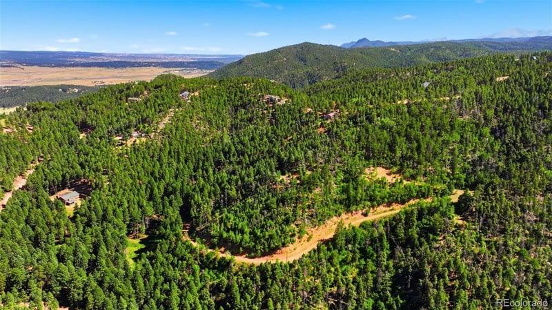 13446 Firedog Way, Larkspur, CO 80118