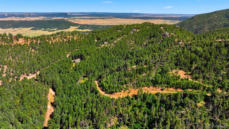 13464 Firedog Way, Larkspur, CO 80118