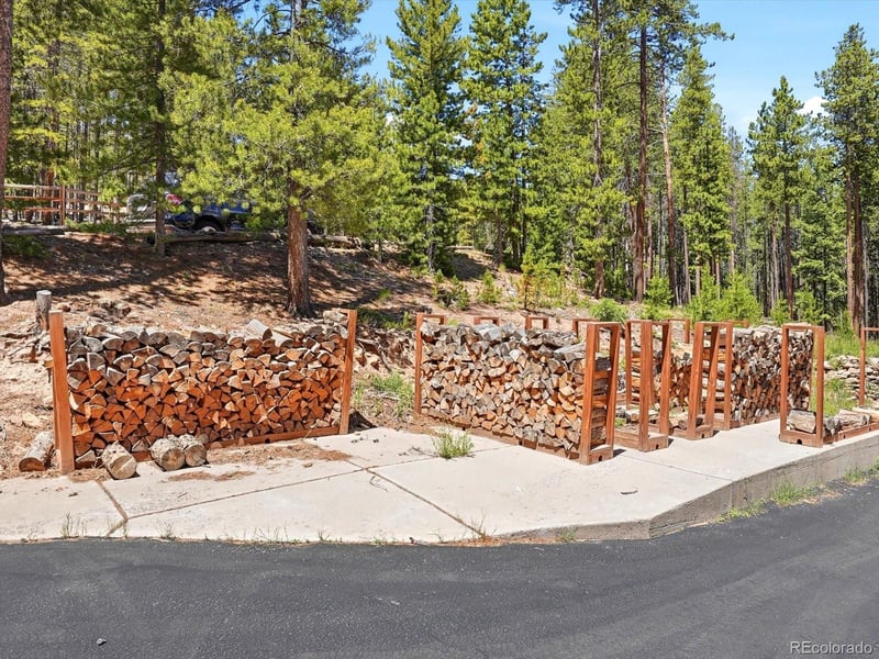 32627 Lila Dr, Conifer, CO 80433