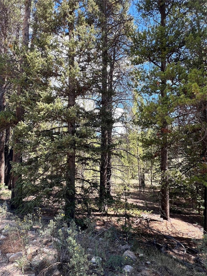 152 Co Rd 665 Lot 31, Fairplay, CO 80440