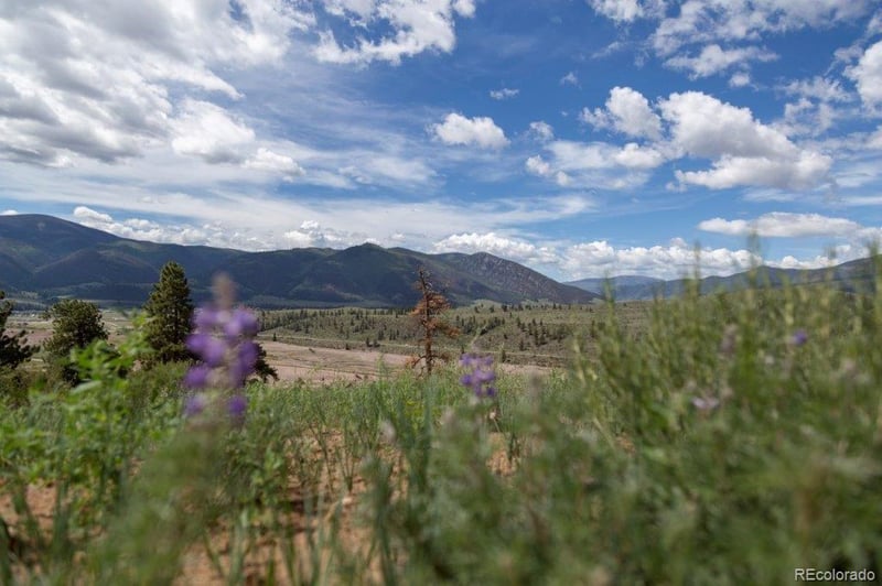 645 Cliff View Dr, Creede, CO 81130