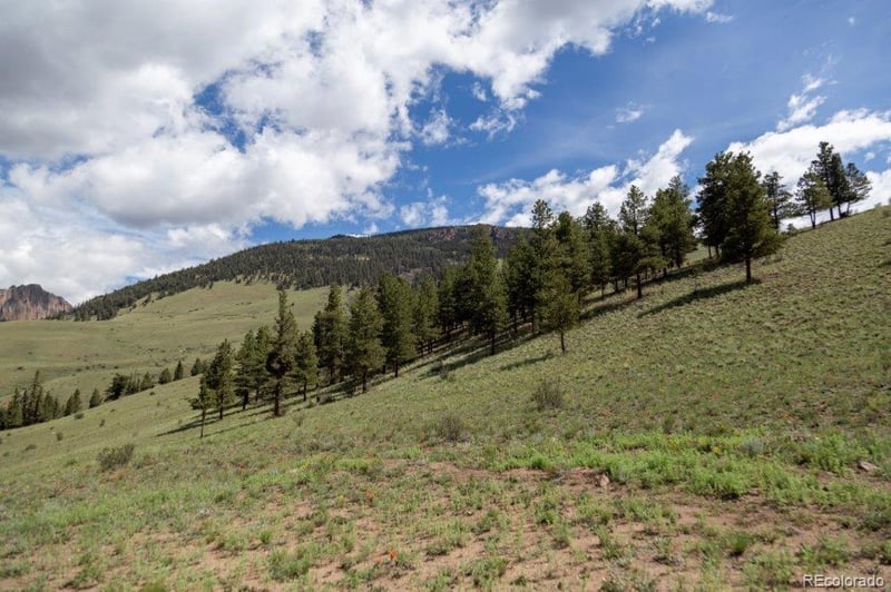 780 Cliff View Dr, Creede, CO 81130