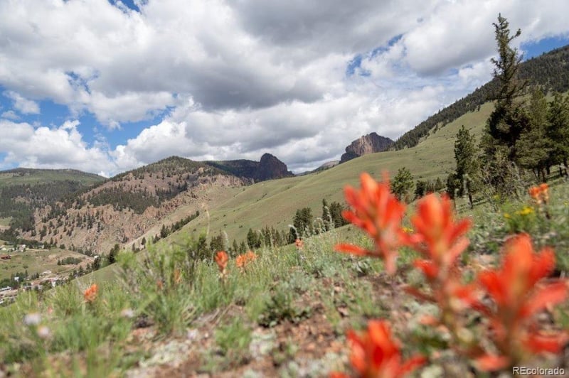 780 Cliff View Dr, Creede, CO 81130