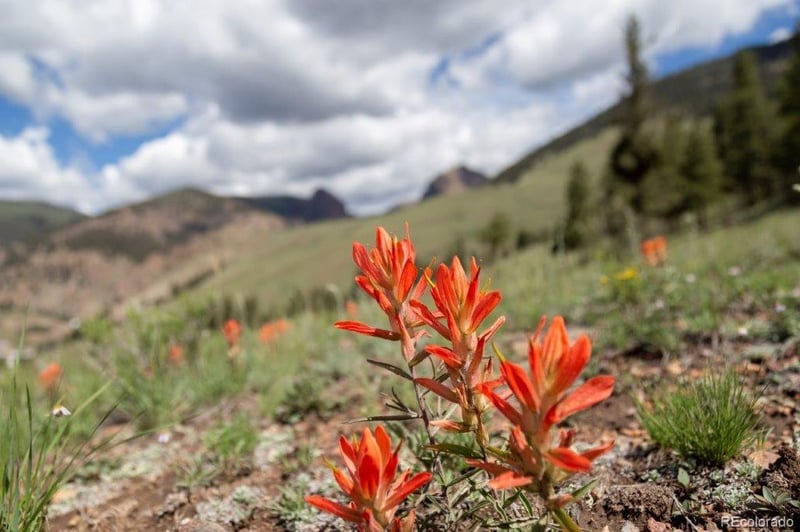 780 Cliff View Dr, Creede, CO 81130