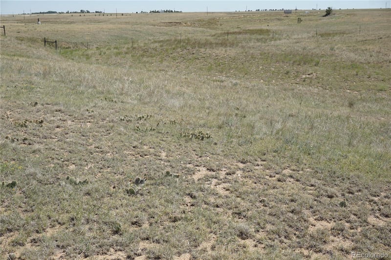 143 Holtwood Rd, Rush, CO 80833