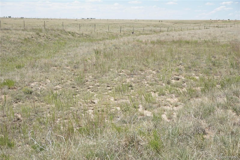 143 Holtwood Rd, Rush, CO 80833