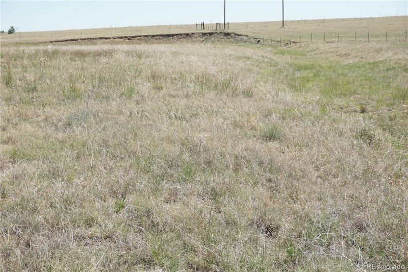 143 Holtwood Rd, Rush, CO 80833