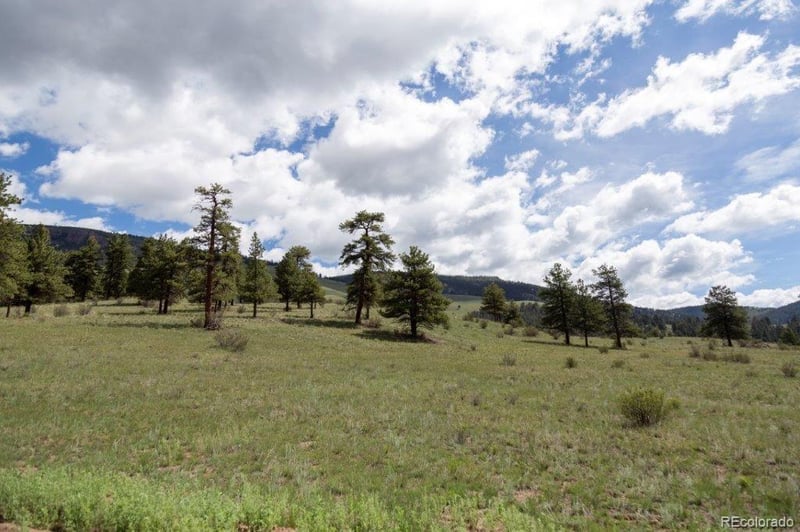 730 Cliff View Dr, Creede, CO 81130
