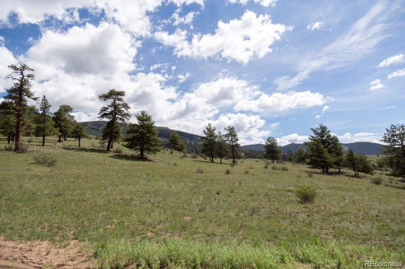 730 Cliff View Dr, Creede, CO 81130
