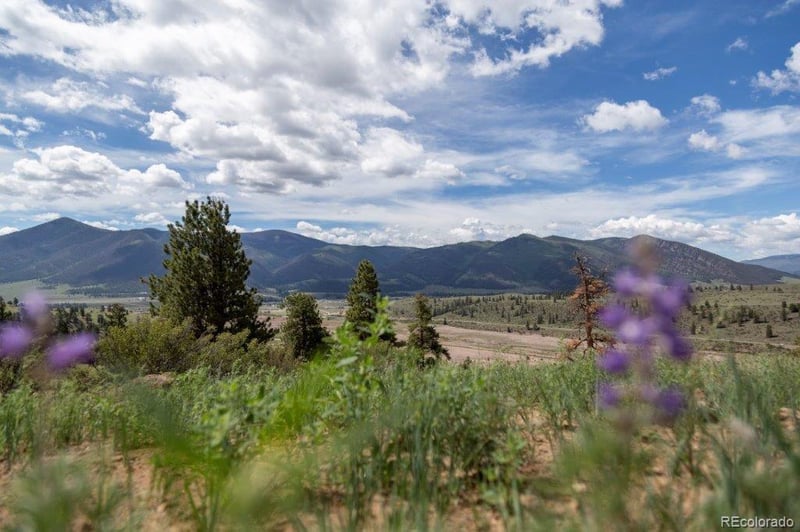 475 Cliff View Dr, Creede, CO 81130
