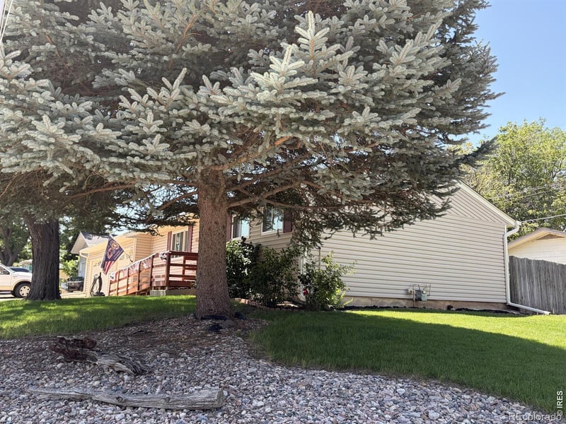 1907 Custer Ave, Loveland, CO 80537