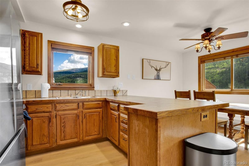 2399 Co Rd 6, Alma, CO 80420