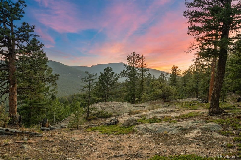 9831 Warhawk Rd, Conifer, CO 80433