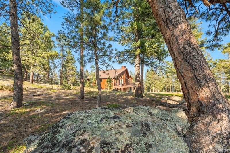 9831 S Warhawk Rd, Conifer, CO 80433