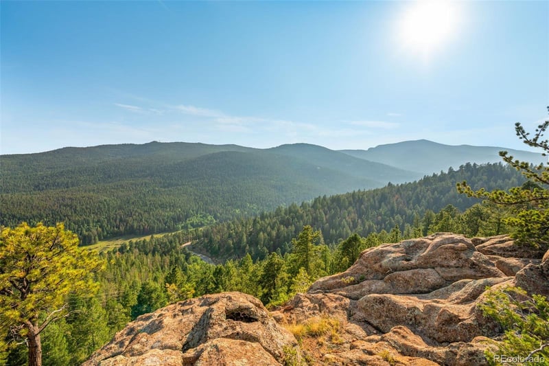 9831 Warhawk Rd, Conifer, CO 80433
