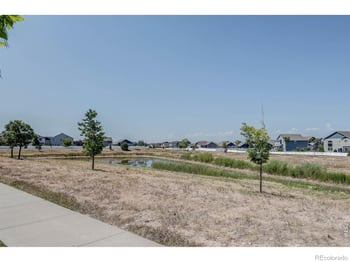 1617 Northcroft Dr, Windsor, CO 80550