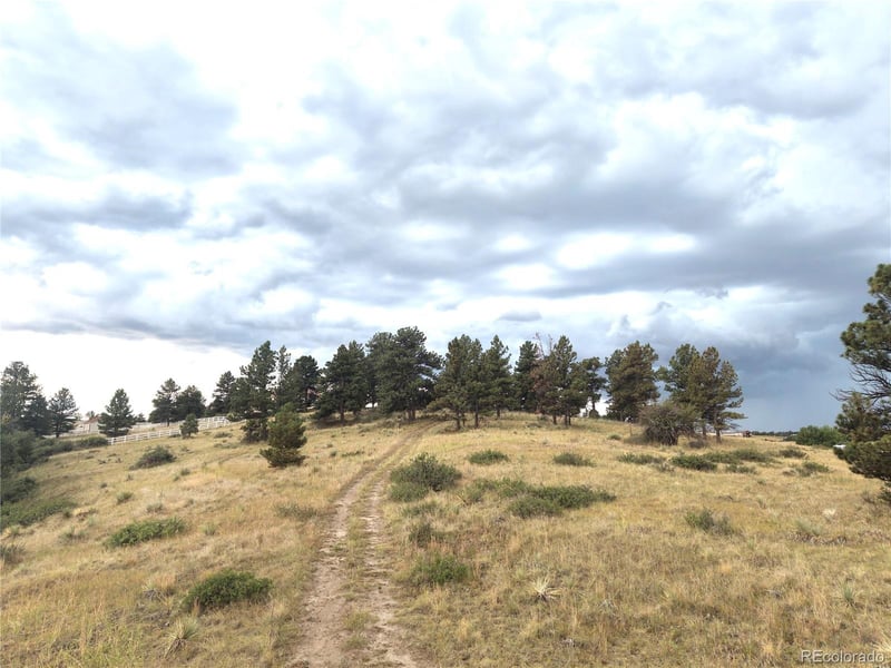 46341 Needleleaf Ln, Parker, CO 80138