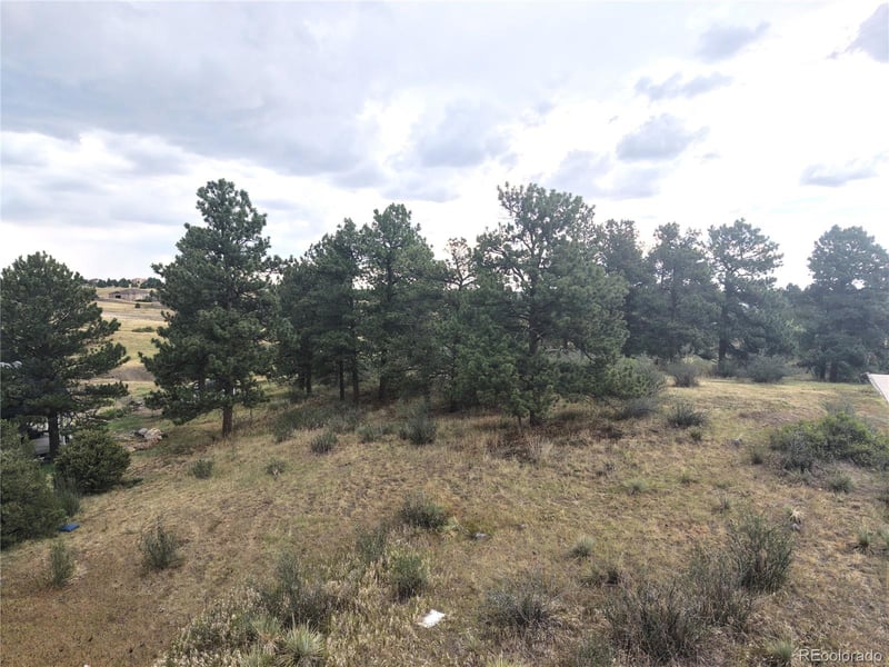 46341 Needleleaf Ln, Parker, CO 80138