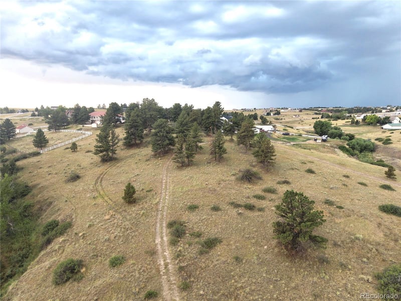 46341 Needleleaf Ln, Parker, CO 80138