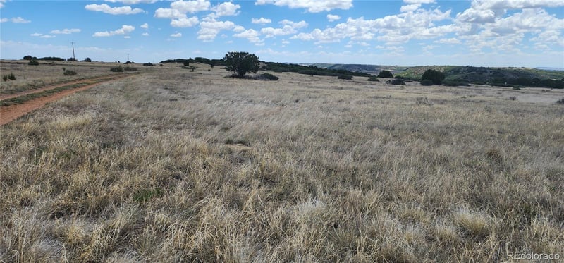 Lot 333 Patsy Cir Lot 333, Colorado City, CO 81019