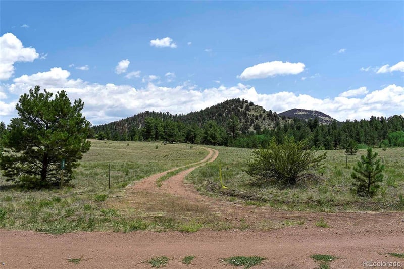 376 Copeland Rd, Guffey, CO 80820