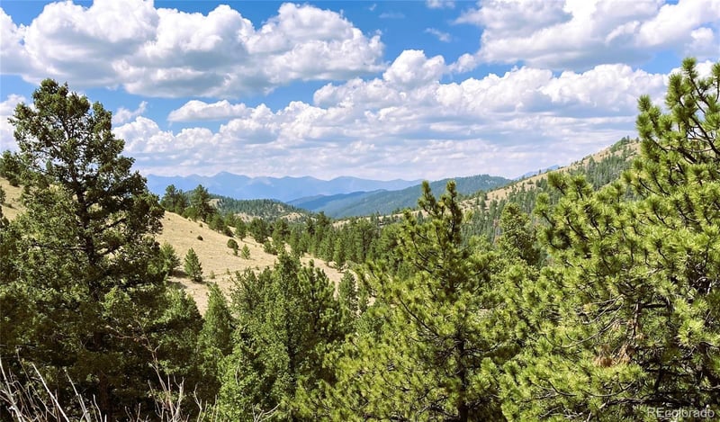 2506 County Road 16, Cotopaxi, CO 81223