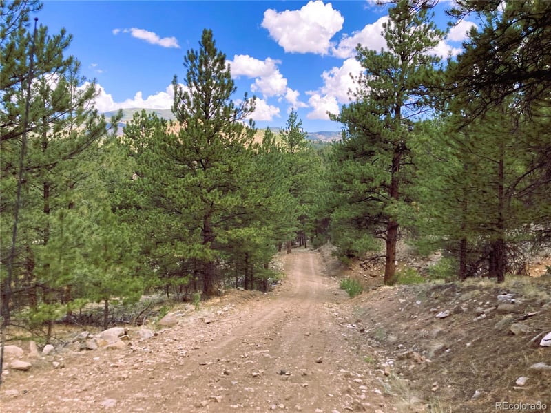 2506 County Road 16, Cotopaxi, CO 81223