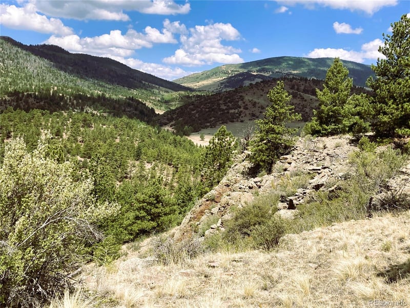 2506 County Road 16, Cotopaxi, CO 81223