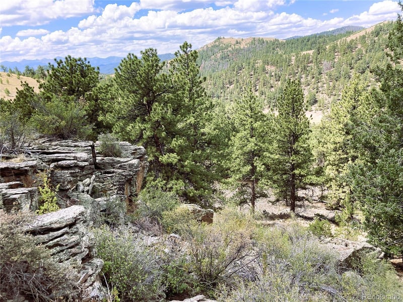 2506 County Road 16, Cotopaxi, CO 81223