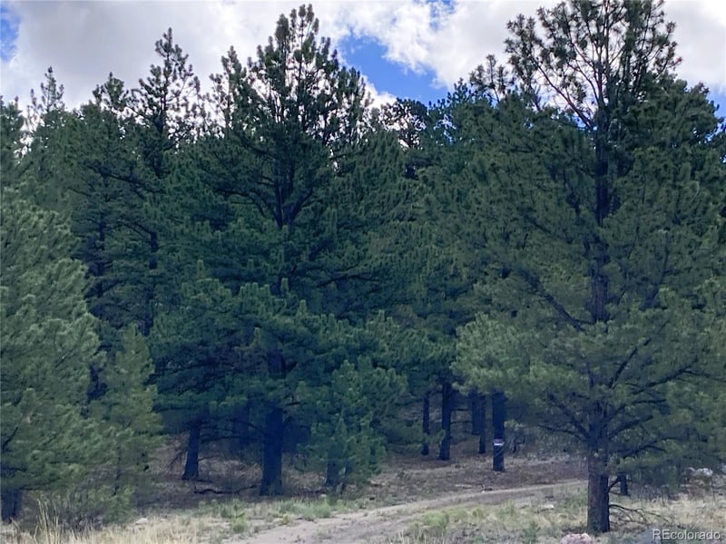 2506 County Road 16, Cotopaxi, CO 81223