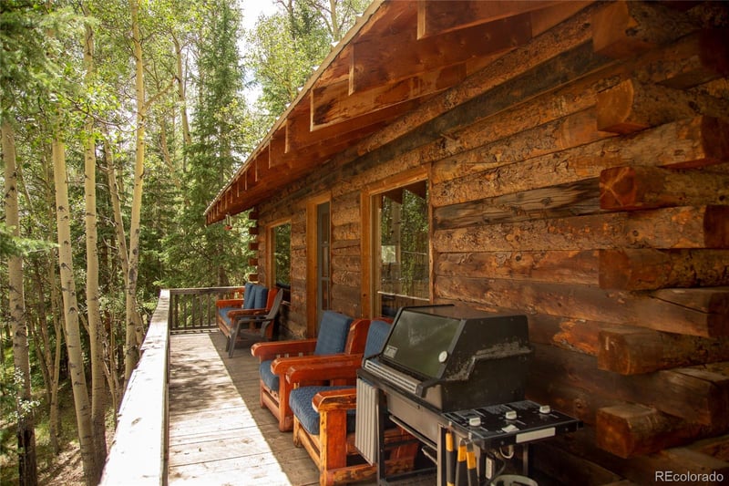 1001 Cr 17 #Aspen Cabin, Lake City, CO 81235