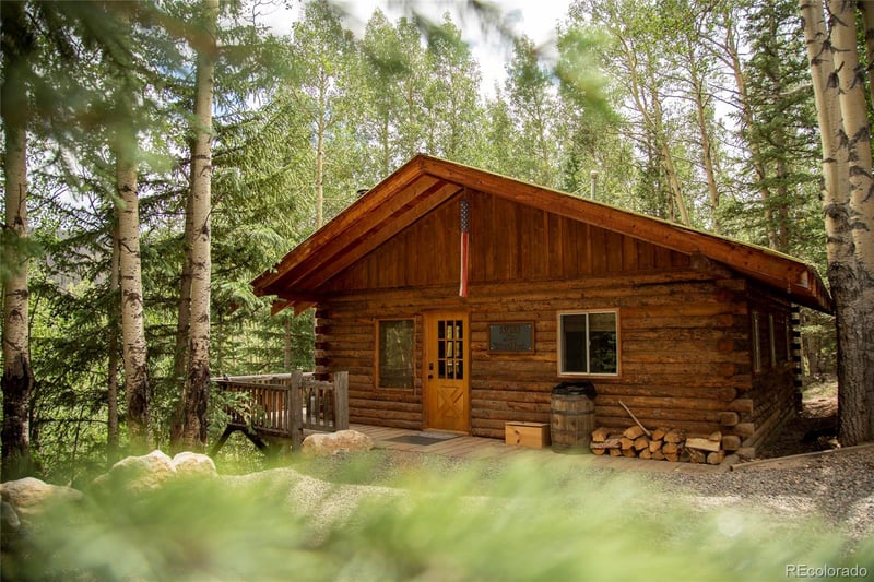 1001 Cr 17 #Aspen Cabin, Lake City, CO 81235