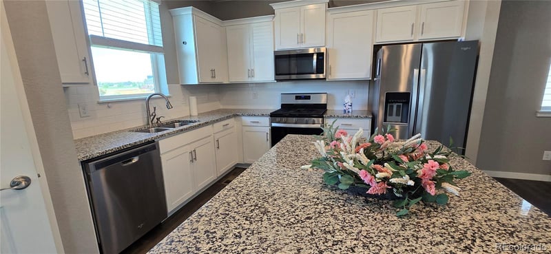14553 Holstein Dr, Mead, CO 80542