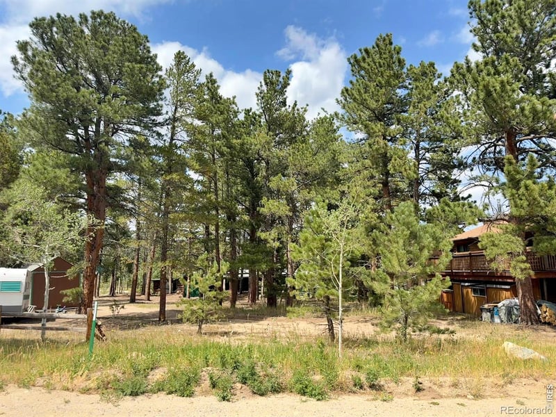 655 Spruce St, Nederland, CO 80466