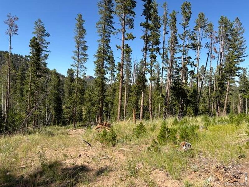Pratt Creek Rd, Livermore, CO 80536