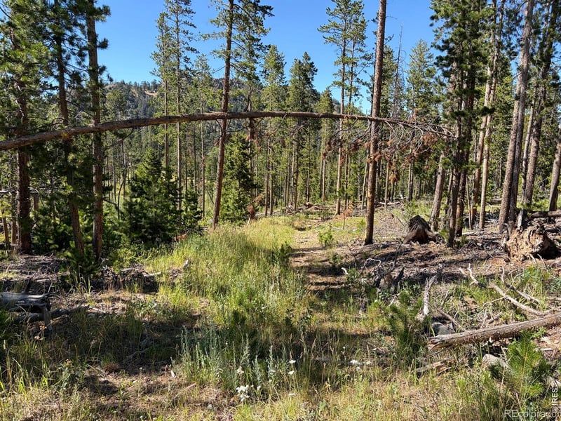Pratt Creek Rd, Livermore, CO 80536