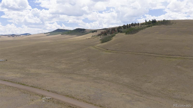 Lot 3912 County Road 53, Hartsel, CO 80449