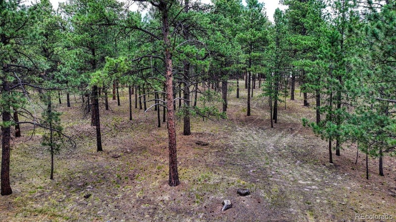 9950 Pine Park Trl, Colorado Springs, CO 80908