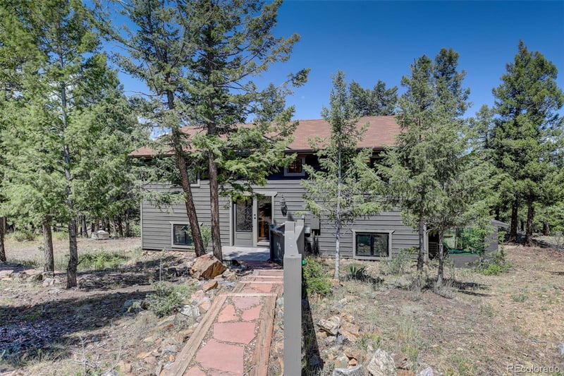 71 Columbine Dr, Bailey, CO 80421