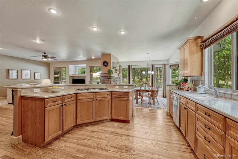1103 Greenland Forest Dr, Monument, CO 80132