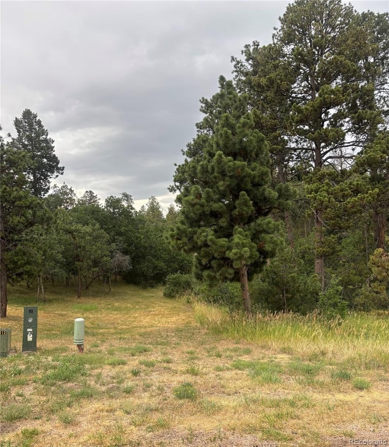 1455 Blueberry Hills Rd, Monument, CO 80132