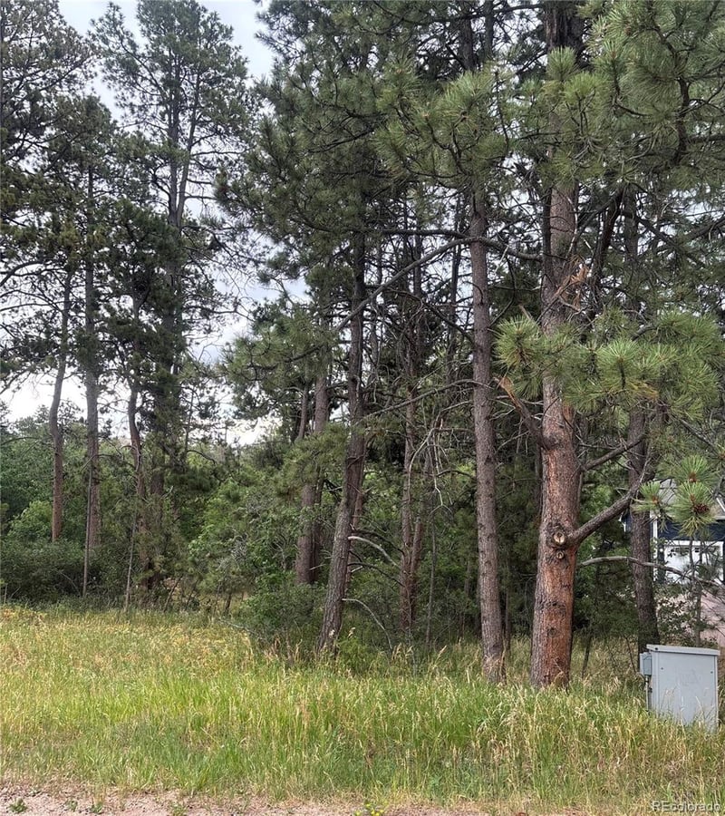 1455 Blueberry Hills Rd, Monument, CO 80132